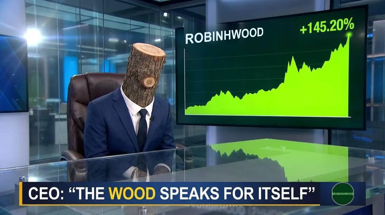 The CEO of Big Wood Technology, a log in a navy suit, presenting quarterly results on financial television. On-screen chart: ROBINHWOOD +145.20%.